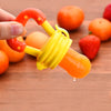 Pack Of 2 Baby Fruit Pacifier