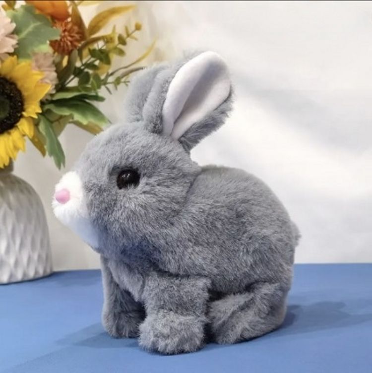 plush-rabbit-toy-with-sound-and-motion-for-kids kids toy in Pakistan | Zilonay