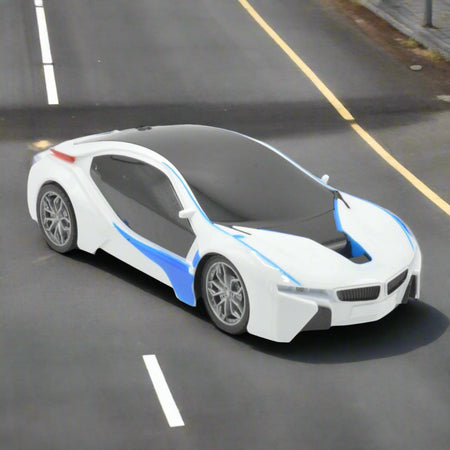 Remote Control Neon Model Car