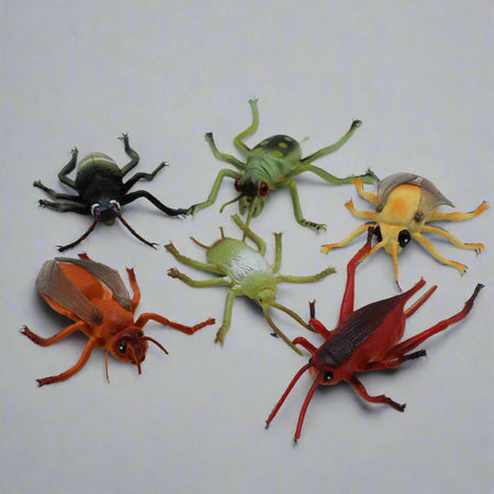 Reptile Insects Pack of 6