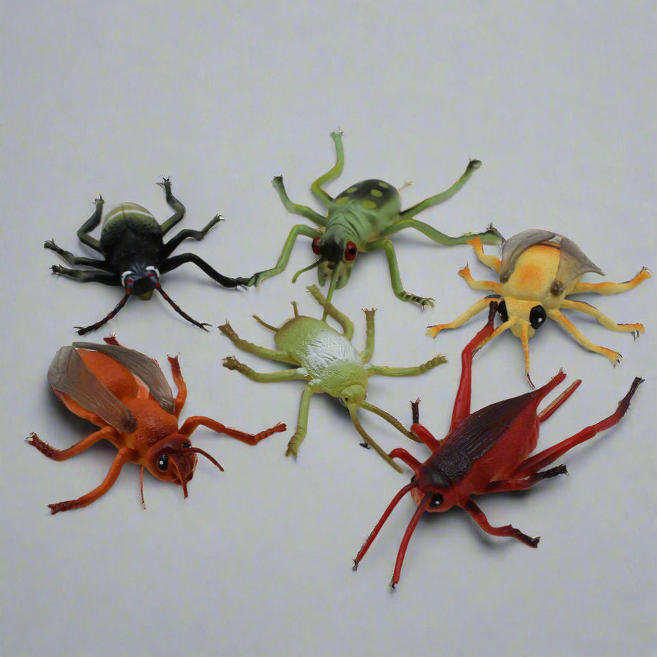 Reptile Insects Pack of 6