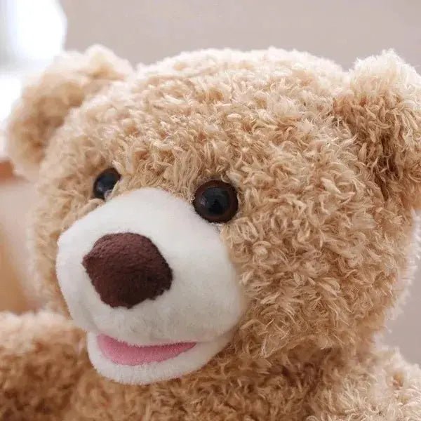 peek-a-boo-teddy-bear-toy-with-motion-sound-for-kids kids toy in Pakistan | Zilonay