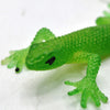 Realistic Rubber Lizard Toys