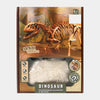 Dinosaur Skeleton Soil Excavation Model Kit (Large Size)
